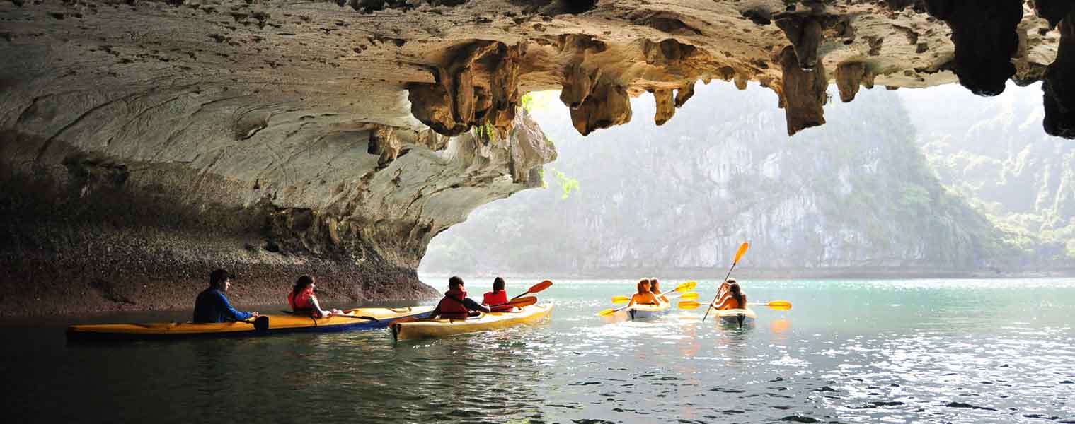 Trilogy Group Sales Banner